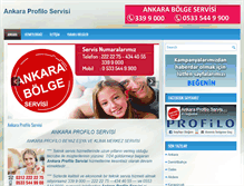 Tablet Screenshot of profiloankarabolgeservisi.com